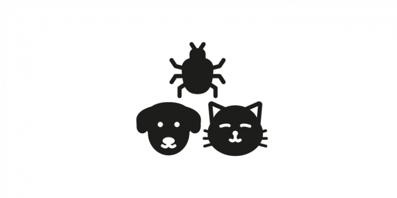 Dieren & insecten